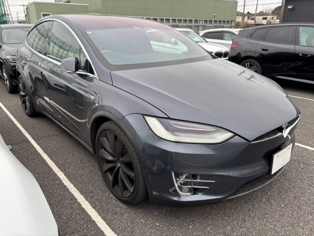 MODEL X