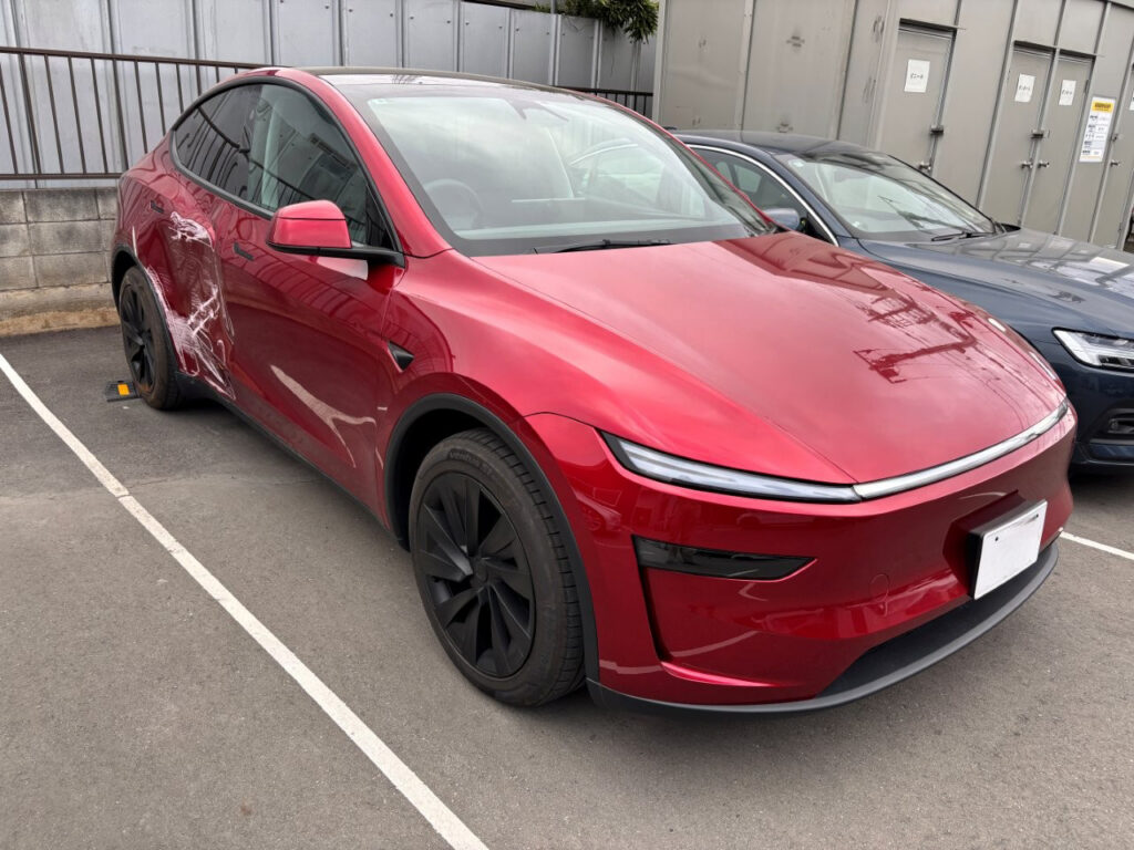 MODEL Y